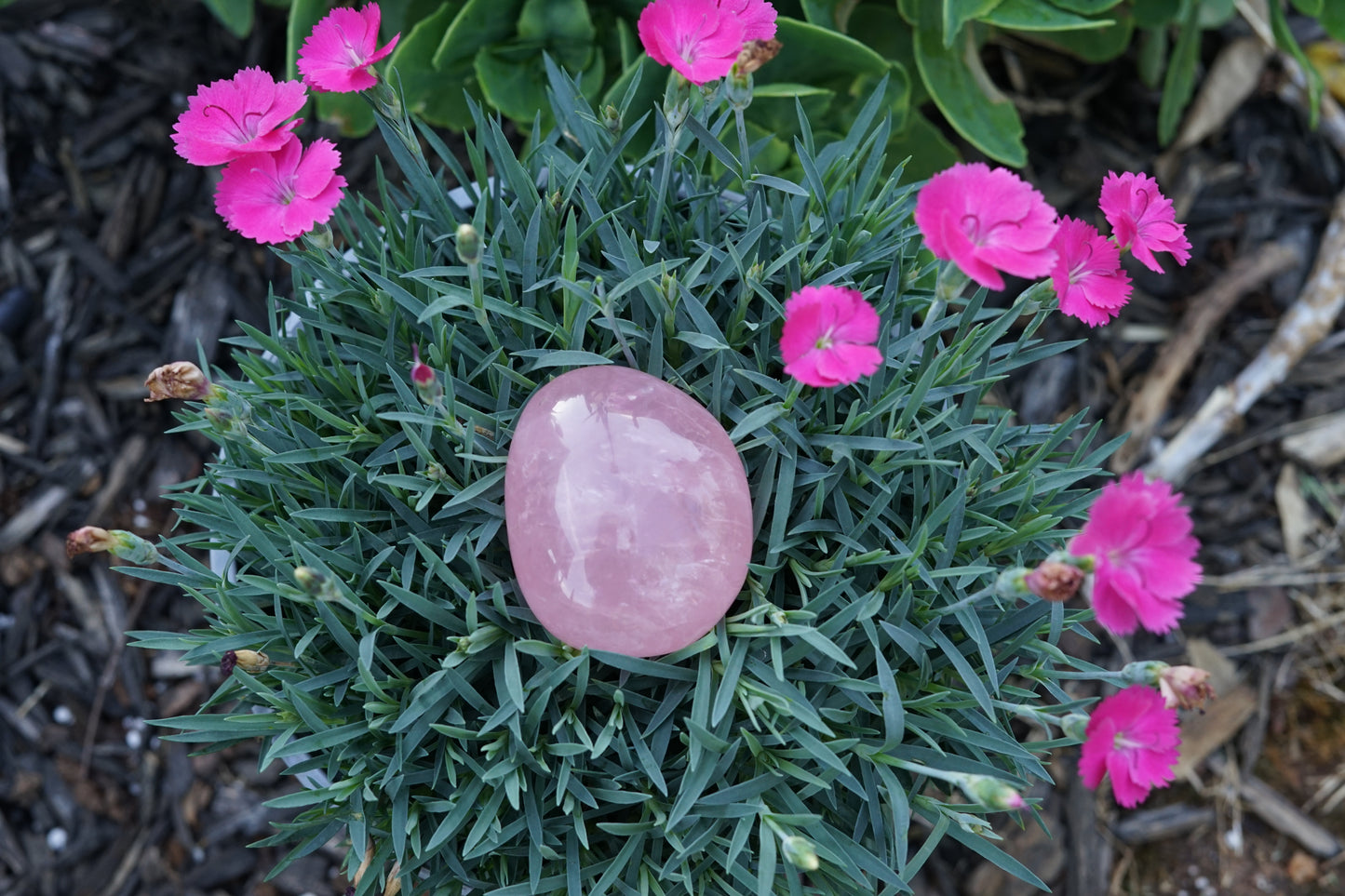 Rose Quartz