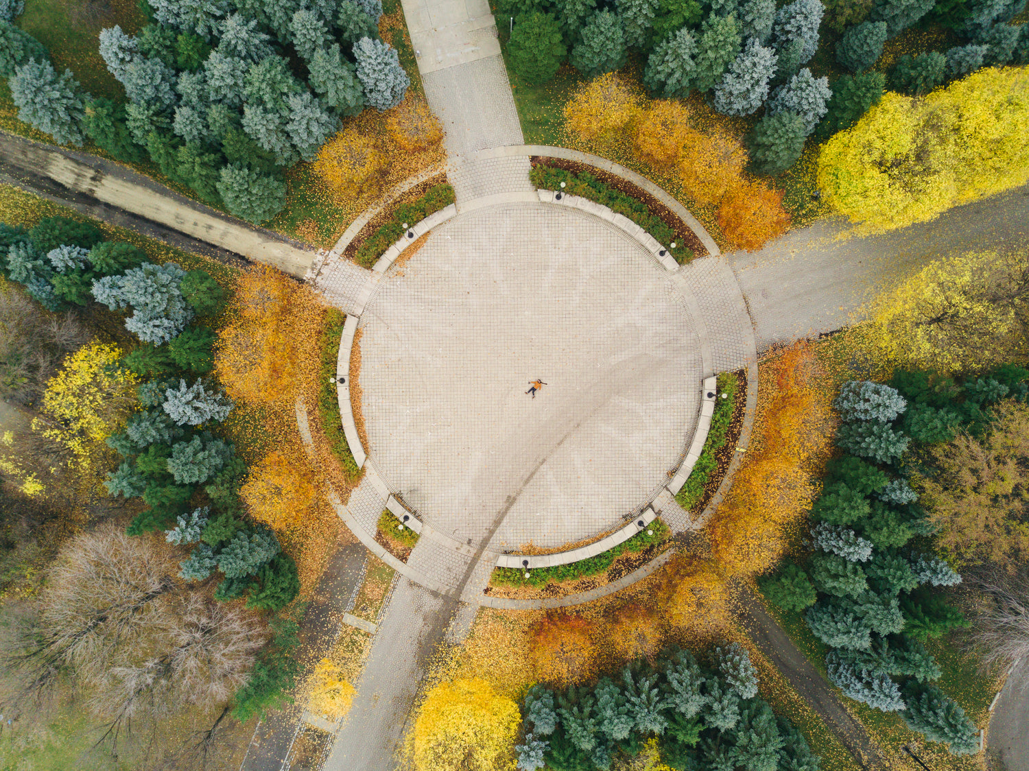 Aerial view of a circular place where people would gather at a park. the trees right around the circle are yellow and the rest are pine trees.